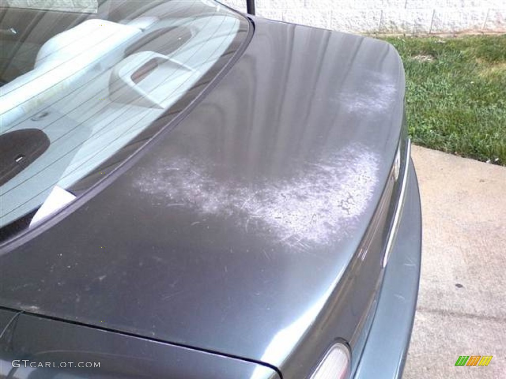 1996 Accord DX Sedan - Dark Eucalyptus Green Pearl Metallic / Gray photo #22