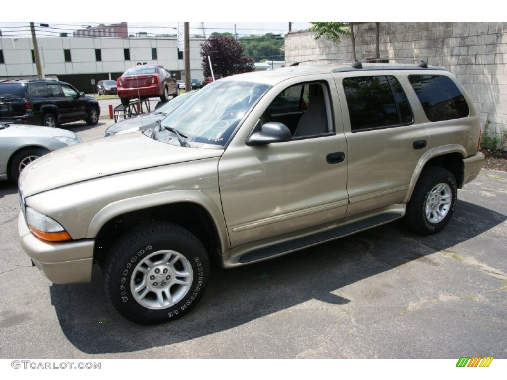 2003 Durango SLT 4x4 - Light Khaki Metallic / Sandstone photo #1