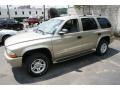 Light Khaki Metallic 2003 Dodge Durango SLT 4x4