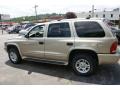 2003 Light Khaki Metallic Dodge Durango SLT 4x4  photo #6