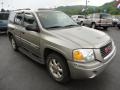 2002 Pewter Metallic GMC Envoy SLT 4x4  photo #7