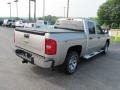 2007 Silver Birch Metallic Chevrolet Silverado 1500 LS Crew Cab 4x4  photo #8