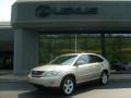 Savannah Beige Metallic - RX 330 AWD Photo No. 1