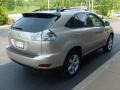 Savannah Beige Metallic - RX 330 AWD Photo No. 5