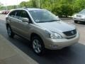 Savannah Beige Metallic - RX 330 AWD Photo No. 6