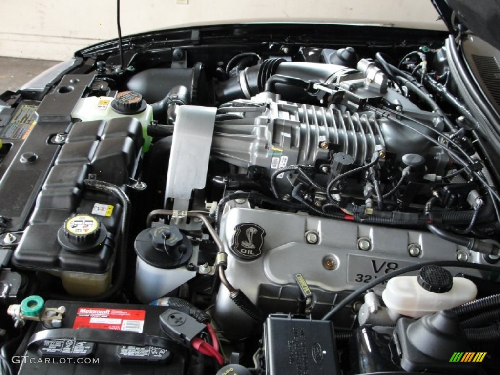 2003 Mustang Cobra Coupe - Black / Dark Charcoal/Medium Graphite photo #14