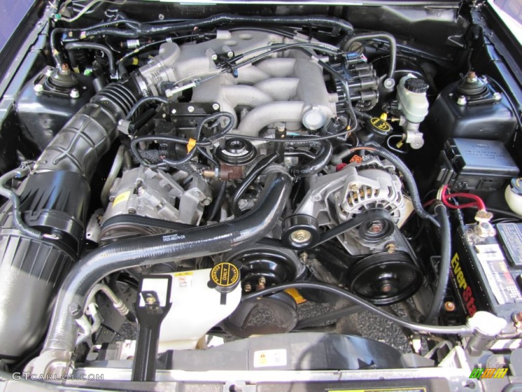 2003 Mustang V6 Coupe - True Blue Metallic / Dark Charcoal/Medium Parchment photo #28