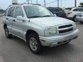 Silverleaf Metallic - Tracker LT Photo No. 8