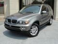 Sterling Grey Metallic - X5 3.0i Photo No. 2