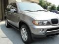 Sterling Grey Metallic - X5 3.0i Photo No. 3