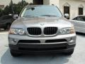 Sterling Grey Metallic - X5 3.0i Photo No. 5