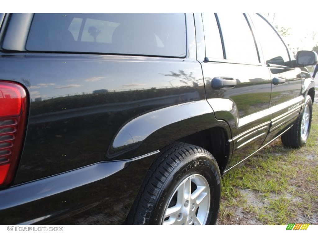 2004 Grand Cherokee Laredo 4x4 - Brillant Black Crystal Pearl / Taupe photo #15