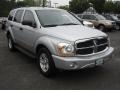 2005 Bright Silver Metallic Dodge Durango Limited 4x4  photo #3