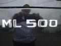 2004 Black Mercedes-Benz ML 500 4Matic  photo #35