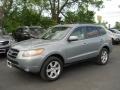 2007 Steel Gray Hyundai Santa Fe Limited 4WD  photo #1