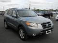 2007 Steel Gray Hyundai Santa Fe Limited 4WD  photo #14