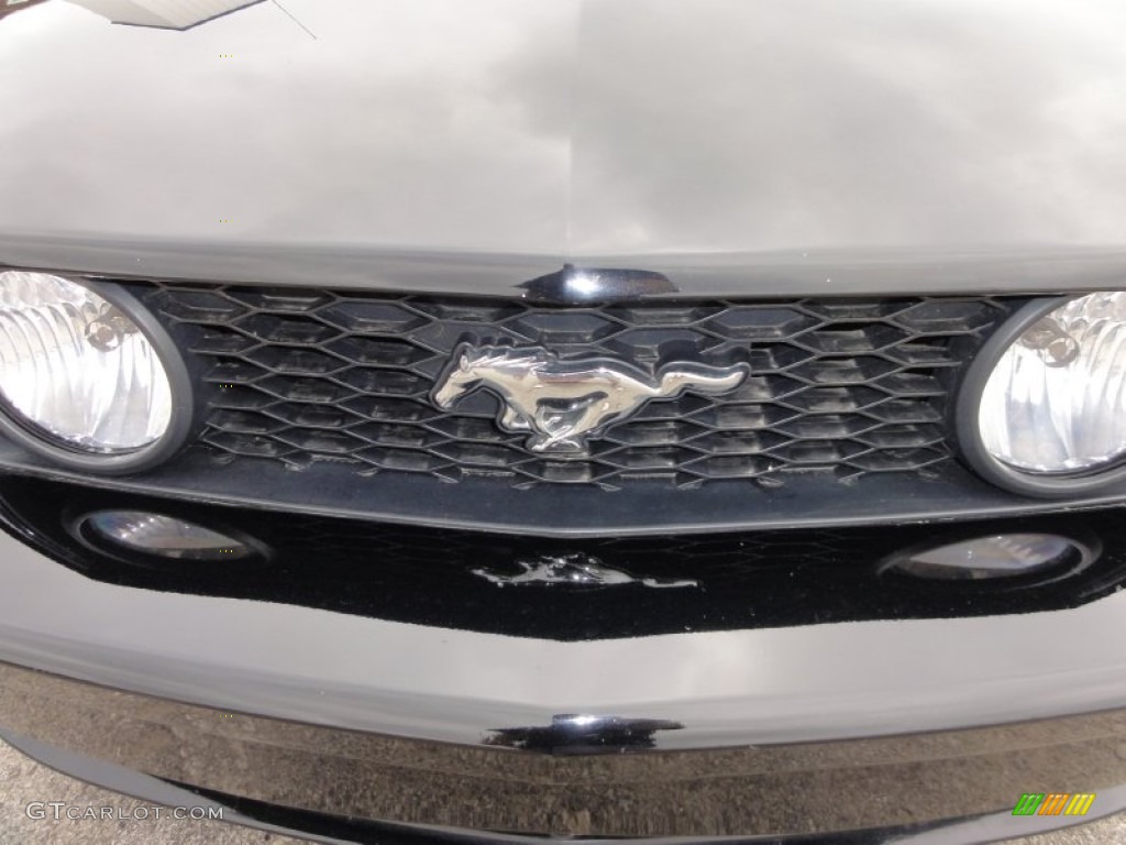 2006 Mustang GT Premium Convertible - Black / Light Parchment photo #31
