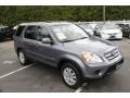 Silver Moss Metallic - CR-V Special Edition 4WD Photo No. 3