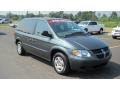 2002 Onyx Green Pearl Dodge Caravan SE  photo #7