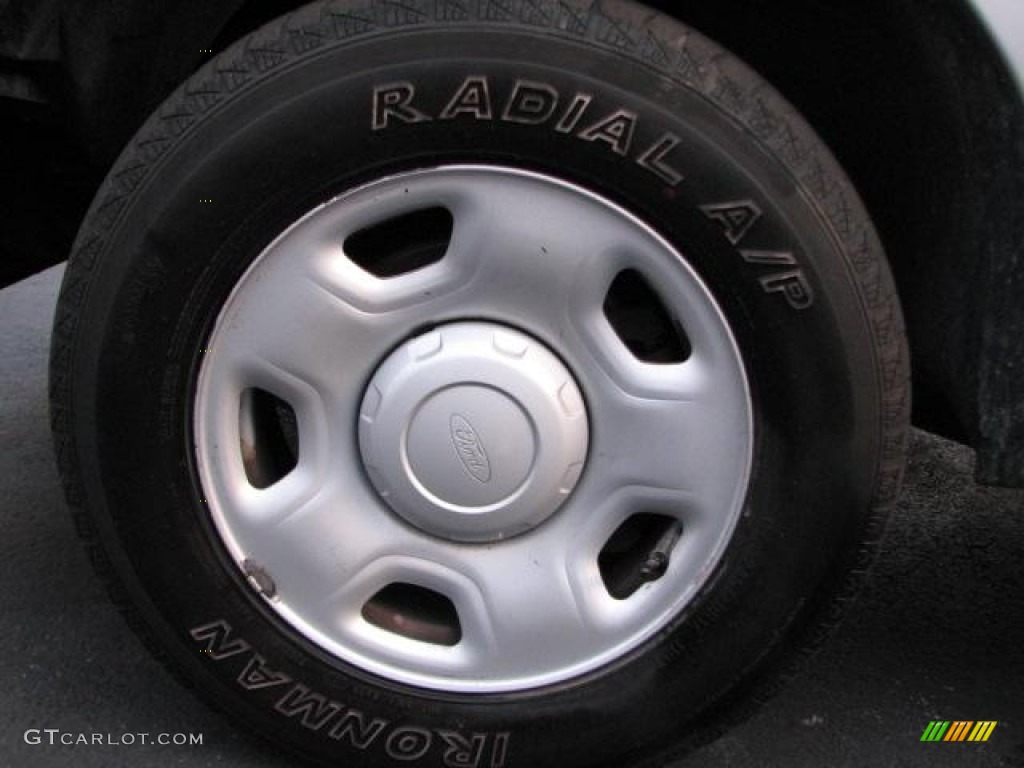 2006 F150 XL Regular Cab - Silver Metallic / Medium Flint photo #12