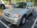 2005 Pebble Ash Metallic Mazda Tribute s  photo #4