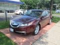 2009 Basque Red Pearl Acura TL 3.5  photo #1