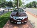 2009 Basque Red Pearl Acura TL 3.5  photo #2