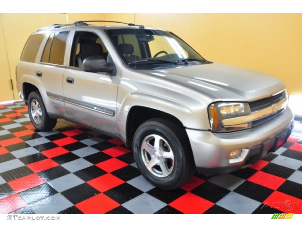 2002 TrailBlazer LT 4x4 - Light Pewter Metallic / Dark Pewter photo #1