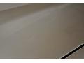 Light Pewter Metallic - TrailBlazer LT 4x4 Photo No. 24