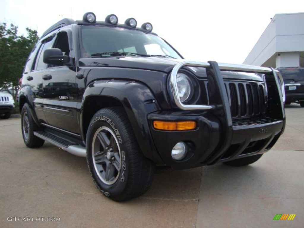 Black Clearcoat Jeep Liberty