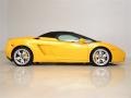 2008 Giallo Midas (Yellow) Lamborghini Gallardo Spyder E-Gear  photo #16