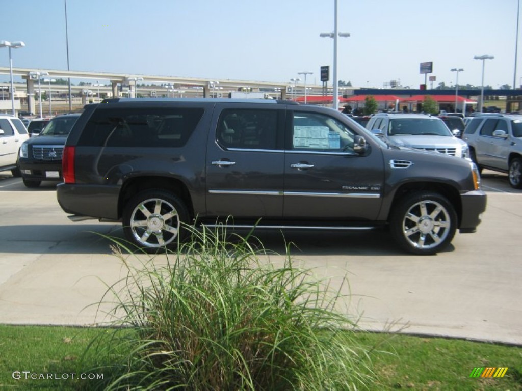 Galaxy Gray Metallic 2011 Cadillac Escalade ESV Luxury AWD Exterior Photo #50467165