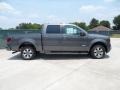 Sterling Grey Metallic 2011 Ford F150 FX2 SuperCrew Exterior