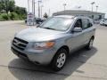 2008 Platinum Sage Hyundai Santa Fe GLS 4WD  photo #7