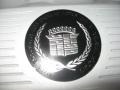 1993 Cadillac Allante Convertible Badge and Logo Photo