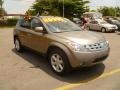 Polished Pewter Metallic 2003 Nissan Murano SE