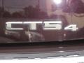 2008 Cadillac CTS 4 AWD Sedan Badge and Logo Photo