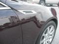 Black Cherry - CTS 4 AWD Sedan Photo No. 19