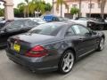 2009 Steel Grey Metallic Mercedes-Benz SL 550 Roadster  photo #2