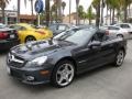 2009 Steel Grey Metallic Mercedes-Benz SL 550 Roadster  photo #24