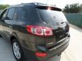 2010 Black Forest Green Metallic Hyundai Santa Fe Limited  photo #23