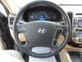 Beige Steering Wheel Photo for 2010 Hyundai Santa Fe #50476651