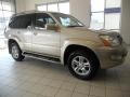 Dorado Gold Pearl - GX 470 Photo No. 3