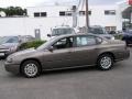 Bronzemist Metallic - Impala  Photo No. 4