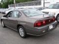 Bronzemist Metallic - Impala  Photo No. 5