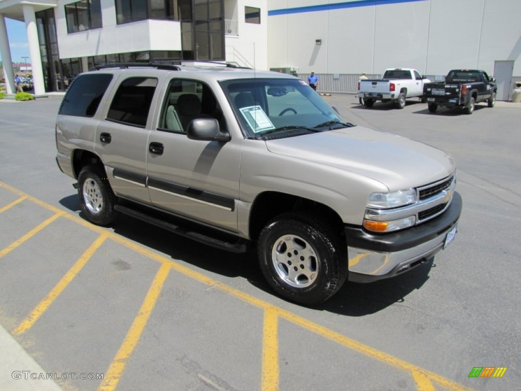 2004 Tahoe LS 4x4 - Silver Birch Metallic / Gray/Dark Charcoal photo #35