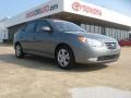 2010 Carbon Gray Mist Hyundai Elantra GLS  photo #1