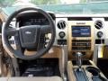 Pale Adobe Dashboard Photo for 2011 Ford F150 #50497946