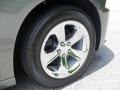 Tungsten Metallic - Charger Rallye Photo No. 23