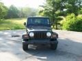 2003 Black Clearcoat Jeep Wrangler Sahara 4x4  photo #8